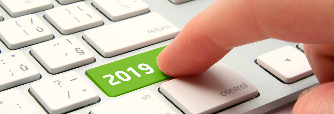 Verkaufszahlen 2019 Verkaufszahlen 2019