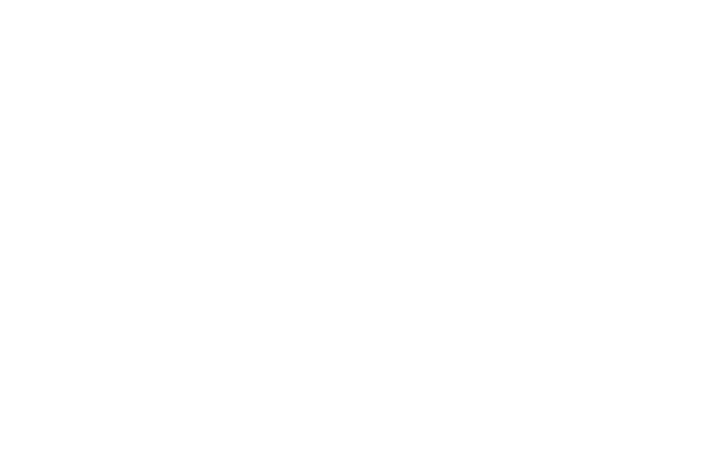 Das Budget festlegen
